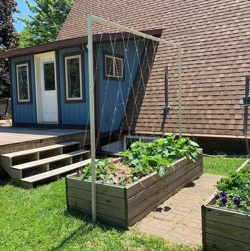 Raised Bed with Wires