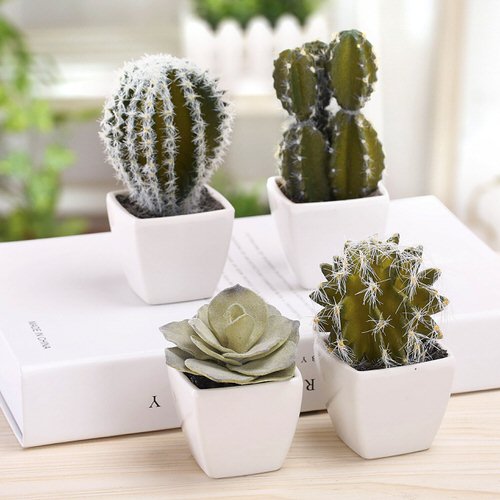 Types of Virtually Lifelike Fake Plant Versions