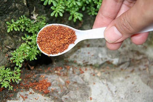 Ant Killer Recipes for the Garden Cayenne Pepper