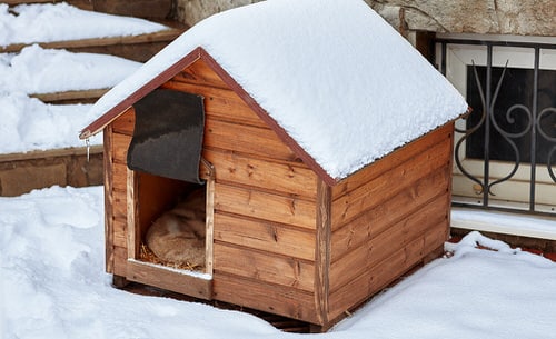 Pink Fiberglass Winter House