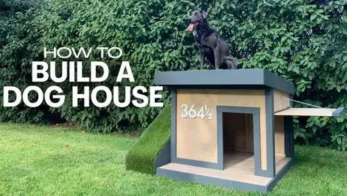 Raised Outdoor Dog House