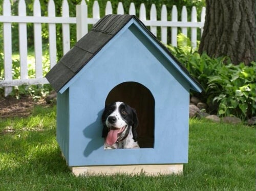 Ventilated Dog House
