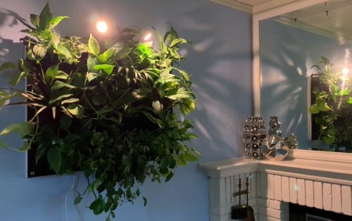 Modern Vertical Indoor Planter
