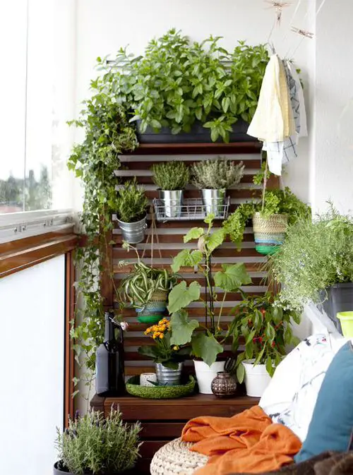 Wooden Section at the Corner to Hang / Display Plants