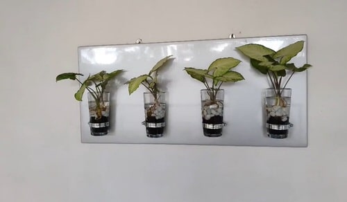 Easy Indoor Vertical Easy Planter for Cuttings