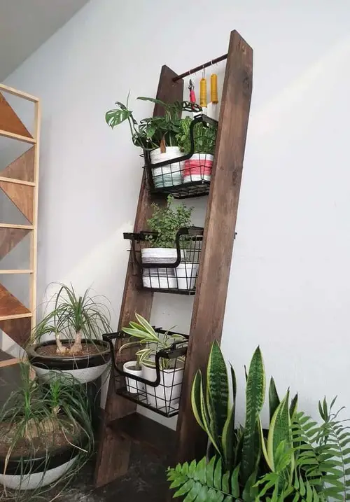 Narrow and Broad Side Ladder for Plants