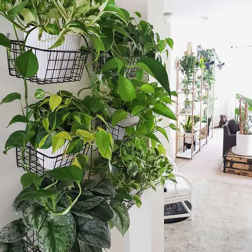 Metal Rack on Wall