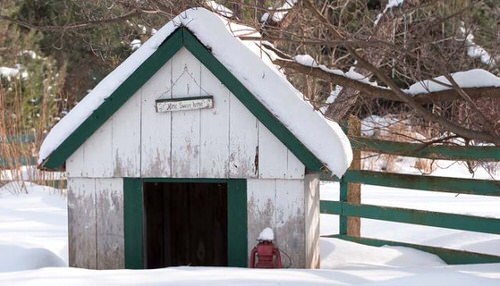 DIY Outdoor Dog House Ideas for Winters