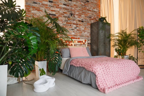 Plants Make You Sleep Better