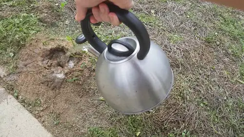 Boiling water