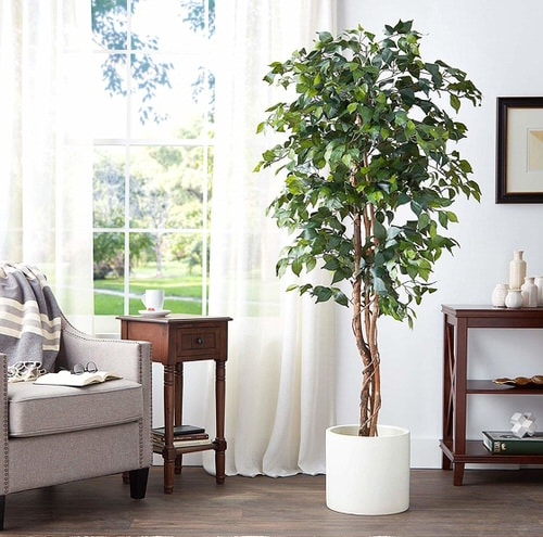 Types of Fake Plant Versions that Almost Look Real