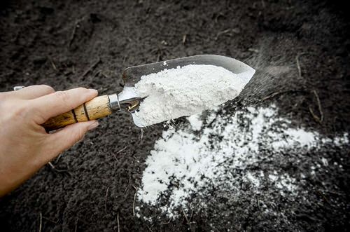 Sugar and Baking Soda