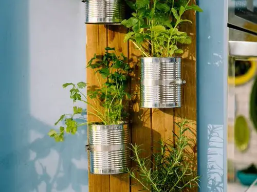 An Indoor Vertical Garden