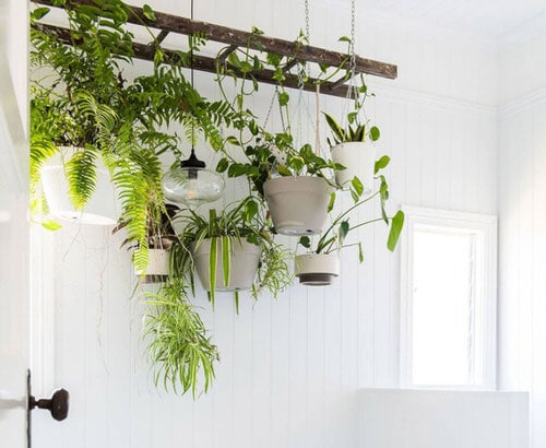 Suspend Ladder to Hang Pots