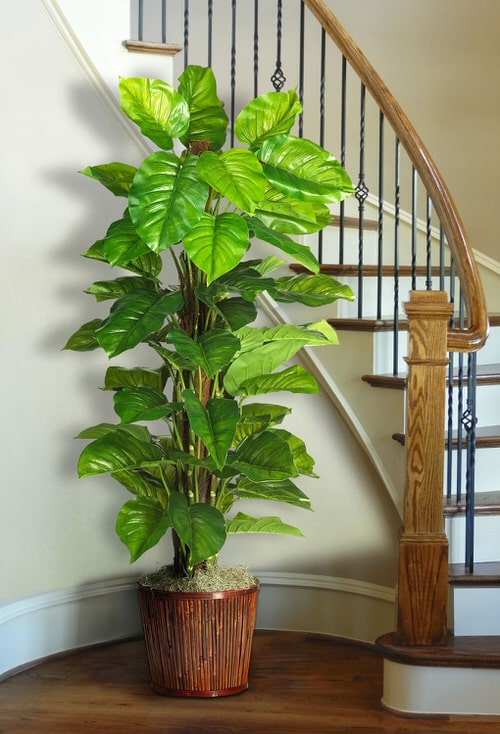 best Types of Fake Plant Versions that Almost Look Real