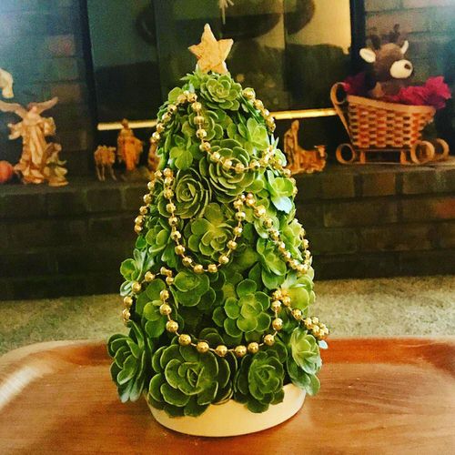 Hens and Chicks Christmas Tree