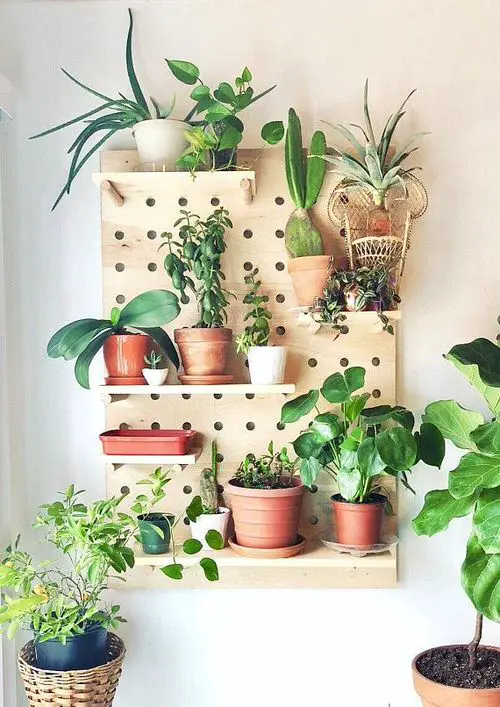 Pegboard for Pots