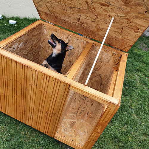 Insulated Dog House