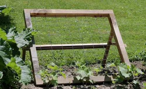 Wire Mesh Trellis