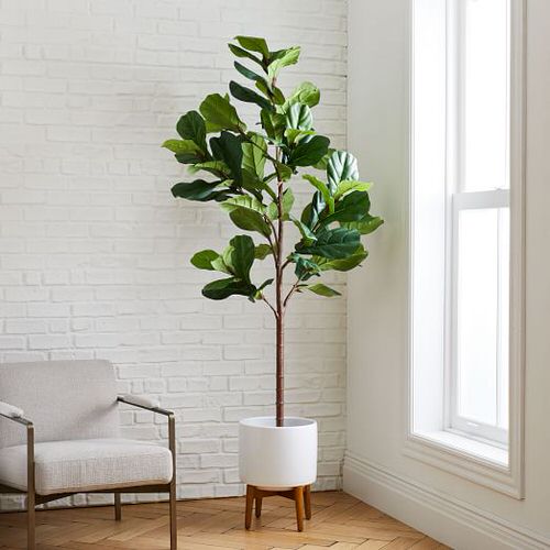 amazing Types of Fake Plant Versions that Almost Look Real