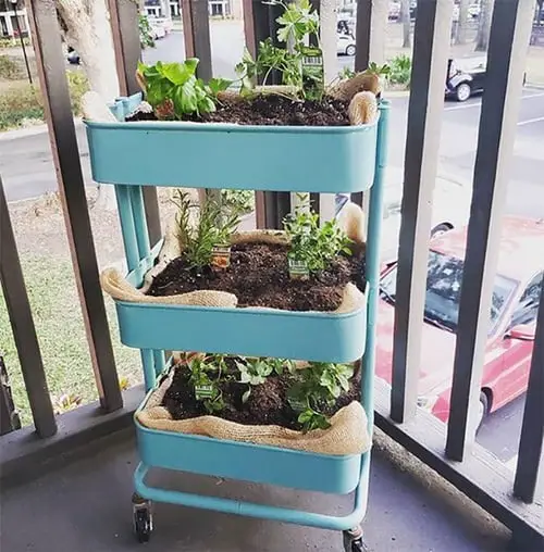 Use IKEA Cart to Grow Salads