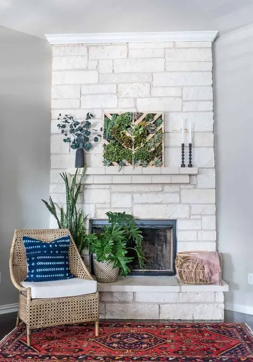 Vertical Succulent Garden
