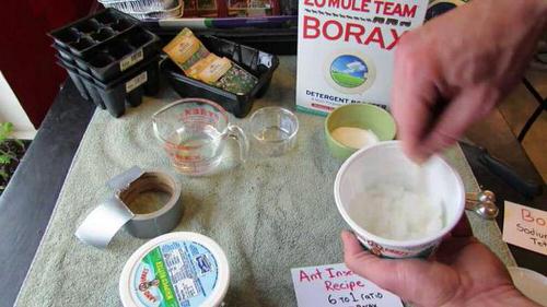 Ant Killer Recipes for the Garden Borax and Sugar