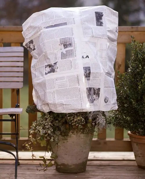 Save your Plants from Cold Drafts