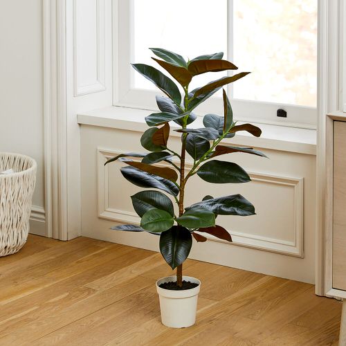 best Types of Almost-Real-Looking Fake Plant Versions