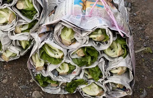 Use Newspaper to Store Veggies