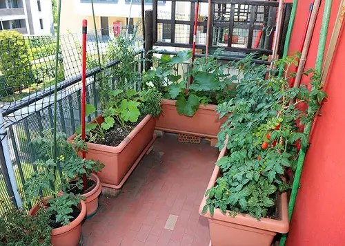 Balcony Gardens that Teach "Grow More in Less Space"