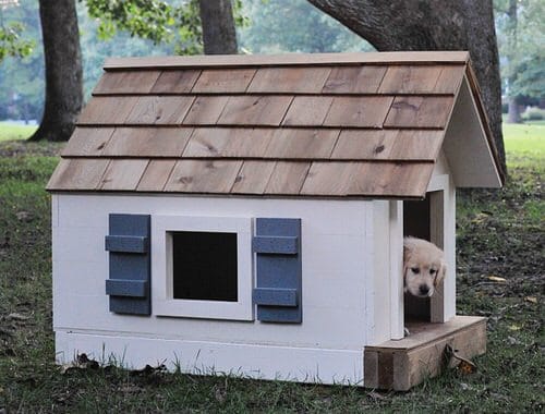 Plywood Cabin for Your Fido