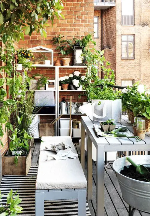 Plants in Wooden Crates and Shelf in balcony