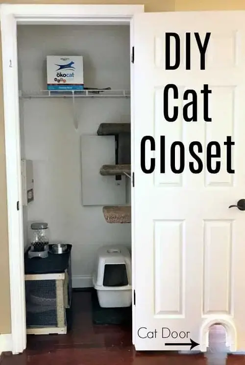Cat Room Closet