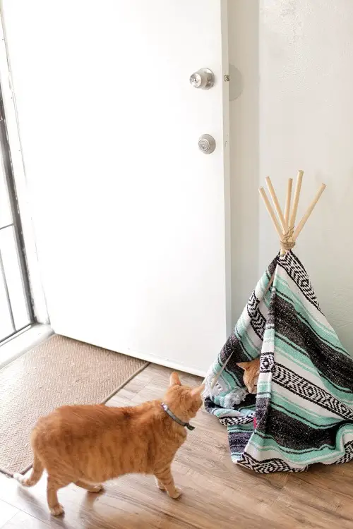 Cat Teepee