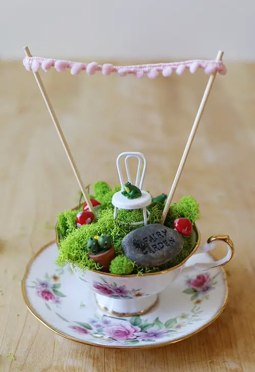 Coffe Mug Moss Terrarium
