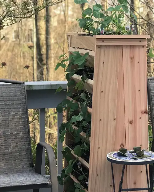 A Tall Wooden Shelf to Grow Herbs and Other Plants
