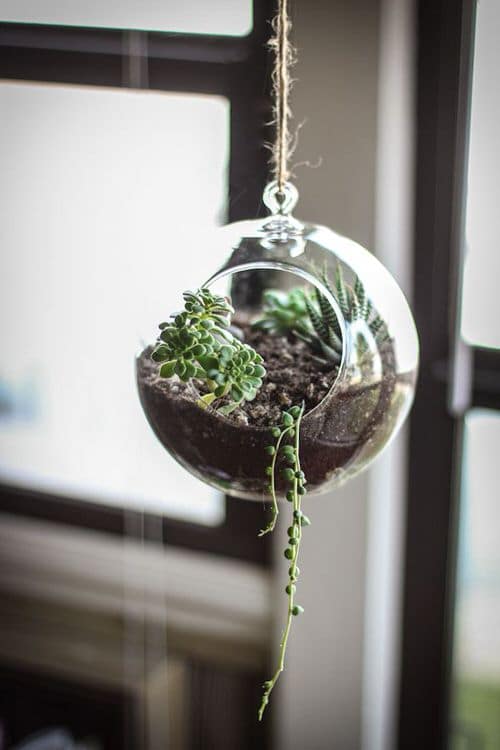 Glass Globe on a Single Rope