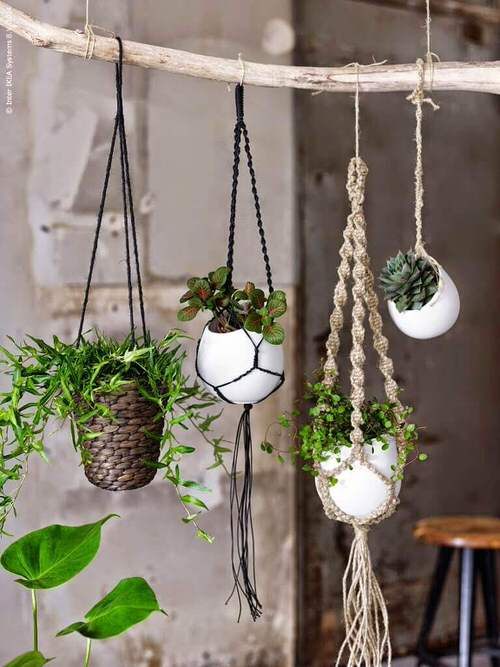 Macrame Hangers on a Twig