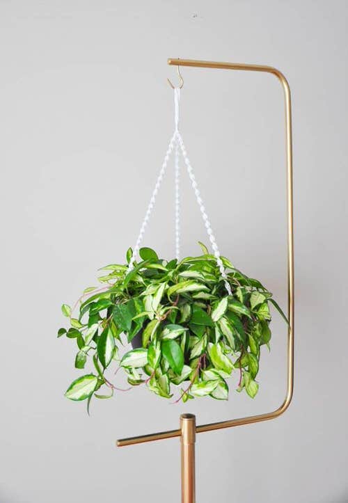 Hooked Planter on a Copper Stand
