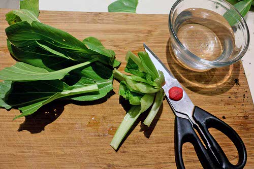 How to Grow Bok Choy in Water