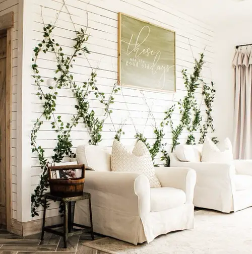 Indoor Trellis, Twine, or Wires