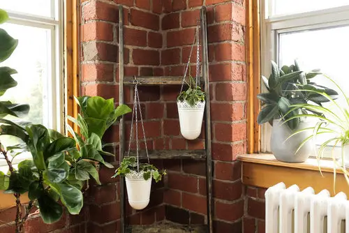 Ladder in the Corner