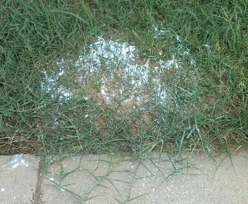 Talcum Powder and Gasolene