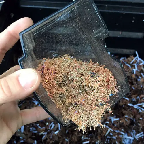 Pencil Shaving Compost