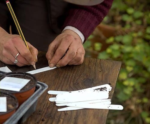 Pencil Uses in the Garden As a Marker on Plant Tags