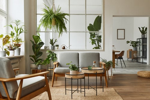 Plants Boost Positivity
