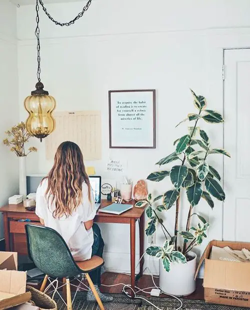 Plants Improve Your Mental Health