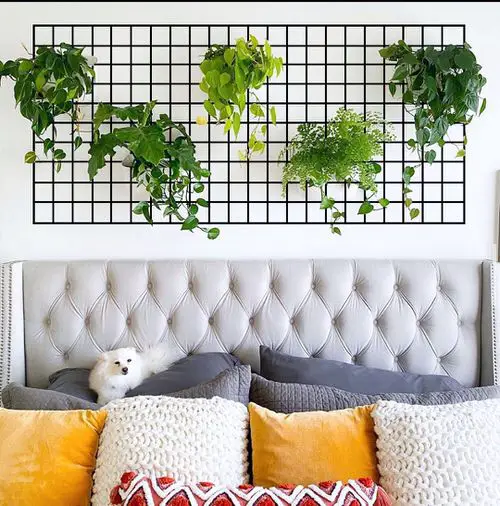 Plants on Steel Mesh