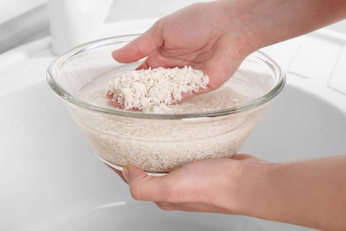 Peace Lily Rice Water Fertilizers 